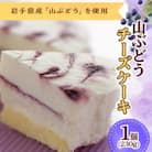 山ぶどうチーズケーキ 11-15