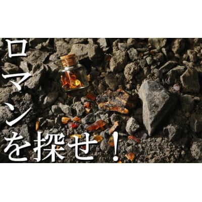【自宅で琥珀の採掘体験!?】「琥珀缶詰」採掘体験缶セット