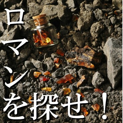 【自宅で琥珀の採掘体験!?】「琥珀缶詰」採掘体験缶セット