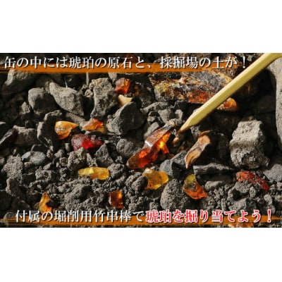 【自宅で琥珀の採掘体験!?】「琥珀缶詰」採掘体験缶セット