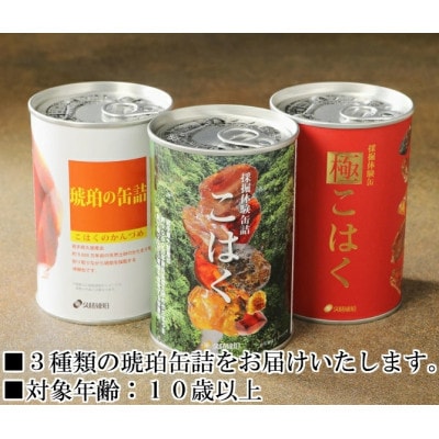 【自宅で琥珀の採掘体験!?】「琥珀缶詰」採掘体験缶セット