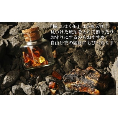 【自宅で琥珀の採掘体験!?】「琥珀缶詰」採掘体験缶セット