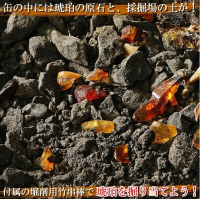 【自宅で琥珀の採掘体験!?】「琥珀缶詰」採掘体験缶セット