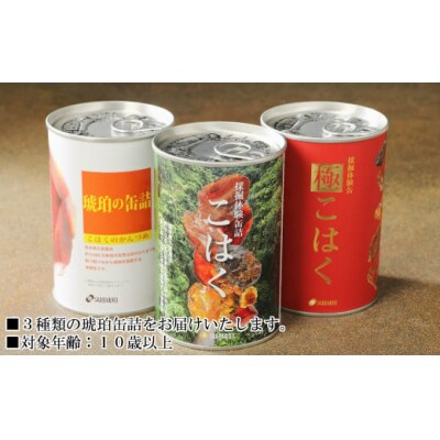 【自宅で琥珀の採掘体験!?】「琥珀缶詰」採掘体験缶セット