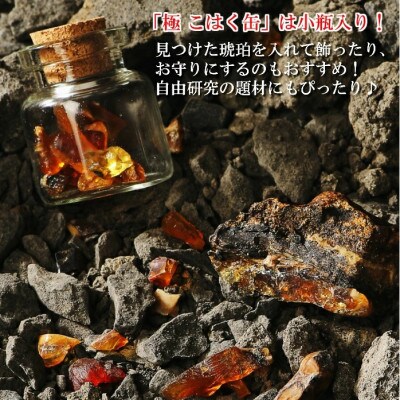 【自宅で琥珀の採掘体験!?】「琥珀缶詰」採掘体験缶セット