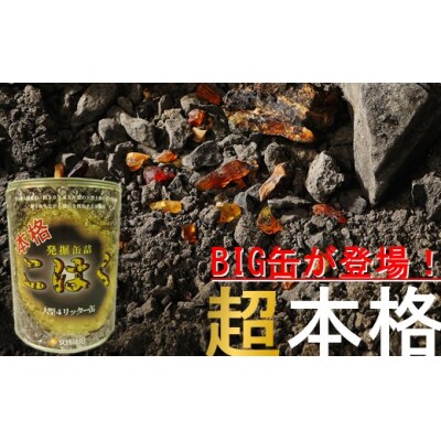 【自宅で琥珀の採掘体験!?】超本格「琥珀BIG缶詰」採掘体験缶セット