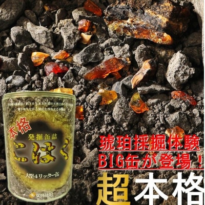 【自宅で琥珀の採掘体験!?】超本格「琥珀BIG缶詰」採掘体験缶セット