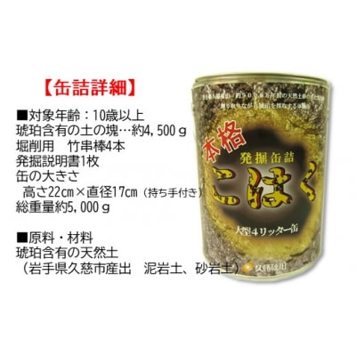 【自宅で琥珀の採掘体験!?】超本格「琥珀BIG缶詰」採掘体験缶セット