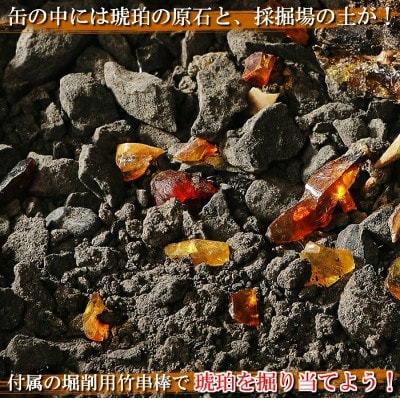 【自宅で琥珀の採掘体験!?】超本格「琥珀BIG缶詰」採掘体験缶セット