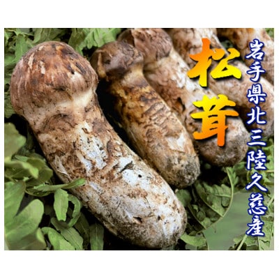久慈産天然松茸「サイズ、つぼみ、開きおまかせ」200g