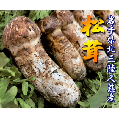 久慈産天然松茸「特選」400g