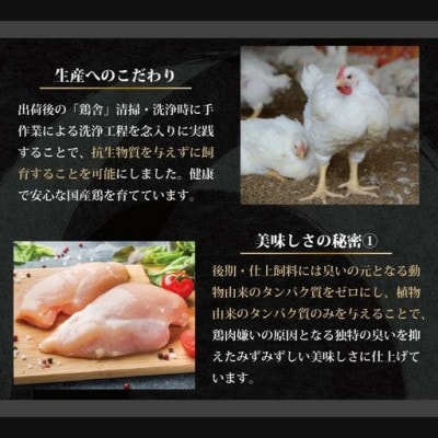 岩手県産十文字鶏 焼き鳥【鶏皮串】40g×30本