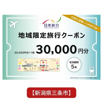[新潟県三条市] 地域限定旅行クーポン 30,000円分 日本旅行 【100S002】