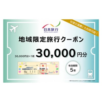 [新潟県三条市] 地域限定旅行クーポン 30,000円分 日本旅行 【100S002】