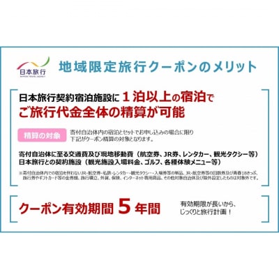 [新潟県三条市] 地域限定旅行クーポン 30,000円分 日本旅行 【100S002】