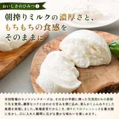 モッツァレラチーズ6個入セット(冷凍)【15000201】