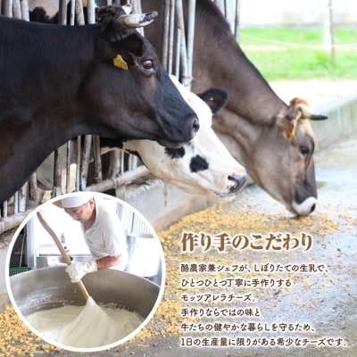 モッツァレラチーズ6個入セット(冷凍)【15000201】