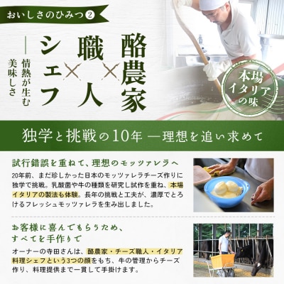 モッツァレラチーズ4個入セット【15000301】