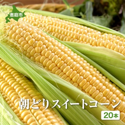 朝どり スイートコーン 20本 北海道産 とうもろこし【31000103】