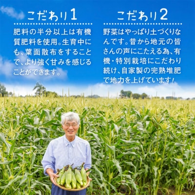 朝どり スイートコーン 20本 北海道産 とうもろこし【31000103】