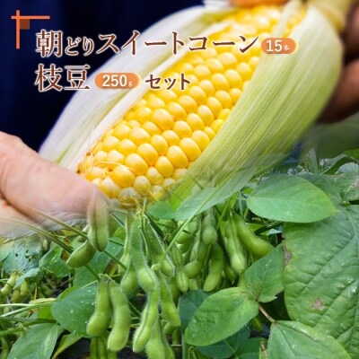 枝豆250g入り3パック&朝どりスイートコーン15本【31000203】