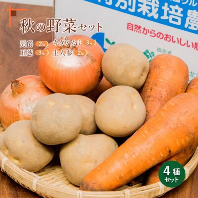 【先行受付】秋の野菜4品セット【31000604】
