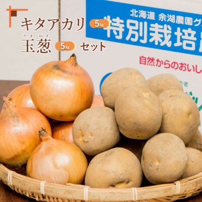 【先行受付】キタアカリ5kg、玉葱5kgセット【31000704】