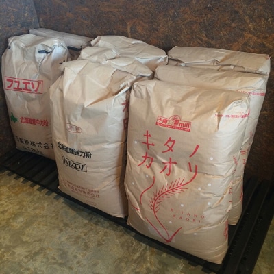 トモヱベーグル 「オーガニックレーズン&くるみ」10個セット【33000501】