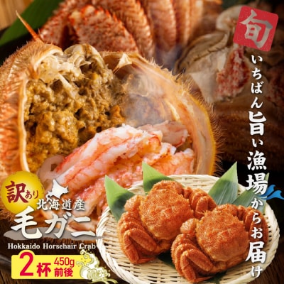 【訳あり品】【北海道産】『冷凍』毛ガニ450g前後×2杯【52000402】