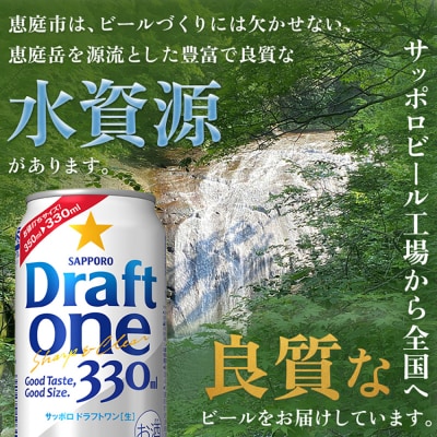『定期便:全6回』 ドラフトワン330ml×24本【30006001】