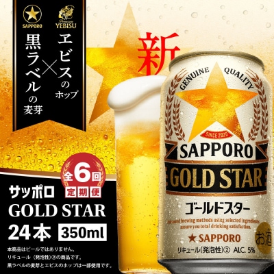 『定期便:全6回』 GOLDSTAR350ml×24本 ゴールドスター【300100251906】