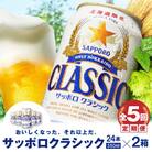 『定期便:全5回 』サッポロクラシック350ml×24本×2箱【北海道限定】【30009901】