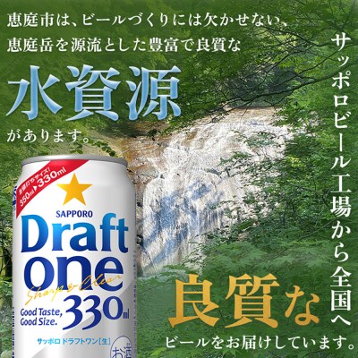 『定期便:全2回』 ドラフトワン330ml×24本【30014101】