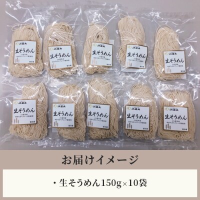 【ゆめちから小麦使用】生そうめん(1人前×10袋)【29000502】