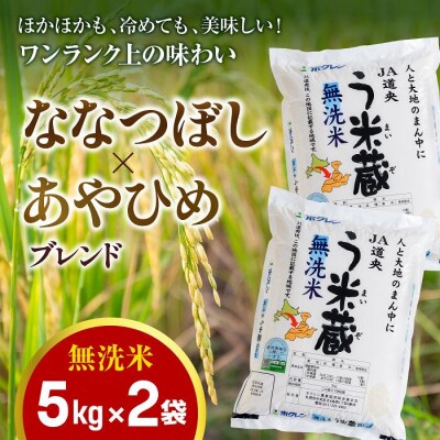 【無洗米】北海道米う米蔵5kg×2(計10kg)【29002304】