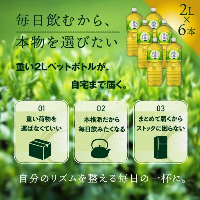 綾鷹 2000mlPET×6本 緑茶 飲料【38000102】