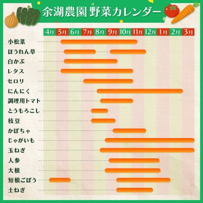 北海道産季節の野菜詰め合わせ 6種類8品【310005】