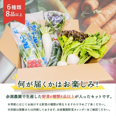 北海道産季節の野菜詰め合わせ 6種類8品【31000501】