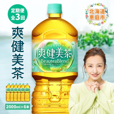 『定期便:全3回』爽健美茶2000mlPET×6本【38000801】