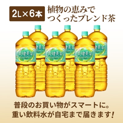 『定期便:全3回』爽健美茶2000mlPET×6本【38000801】