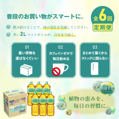 『定期便:全6回』爽健美茶2000mlPET×6本【38000902】