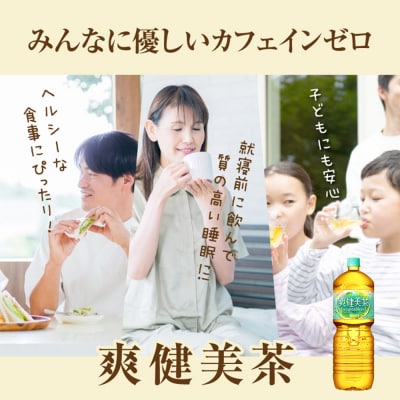 『定期便:全2回』爽健美茶2L×6本【38001901】