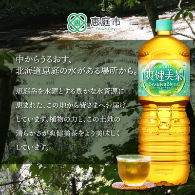 『定期便:全4回』爽健美茶2L×6本【38002002】