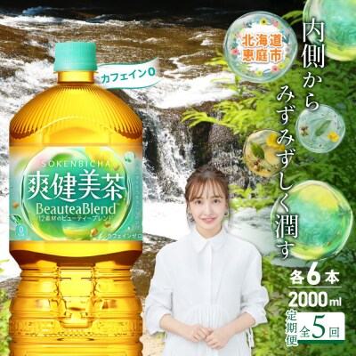 『定期便:全5回』爽健美茶2L×6本【38002102】