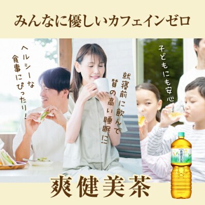 『定期便:全5回』爽健美茶2L×6本【38002101】