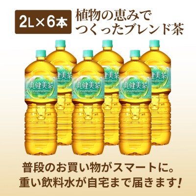 『定期便:全5回』爽健美茶2L×6本【38002102】