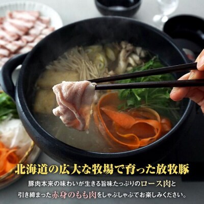 北海道産放牧豚 無添加ウインナーとしゃぶしゃぶ肉セット【12000102】