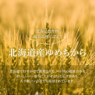 【北海道産小麦】ゆめちからブレンド粉(強力粉)500g×8袋【29000301】