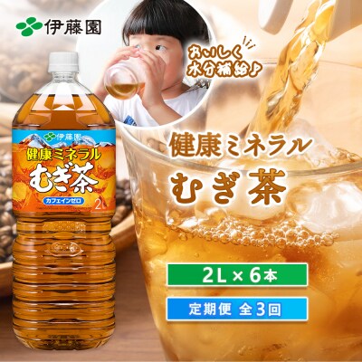 『定期便:全3回』健康ミネラルむぎ茶2L×6本【50000101】