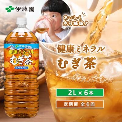 『定期便:全6回』健康ミネラルむぎ茶2L×6本【50000201】